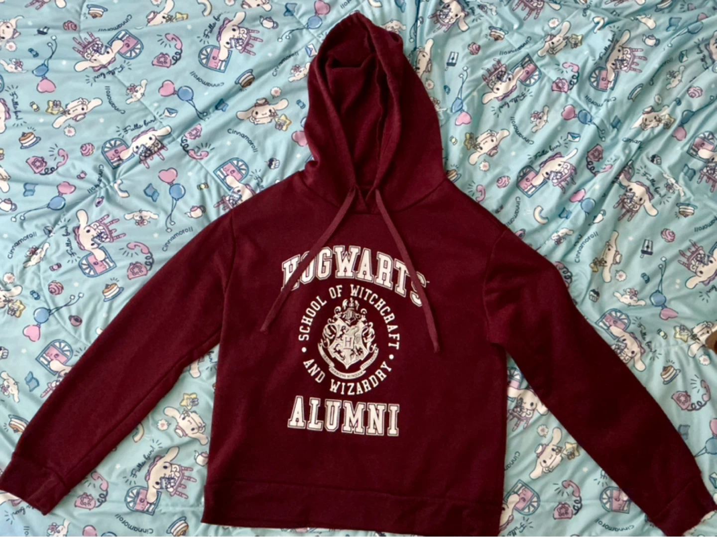 Harry Potter Hogwarts Alumni Hoodie
