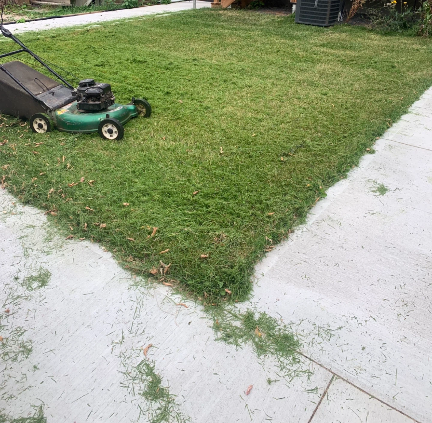 Lawn Mower, Yard Cleanup and More - photo 2