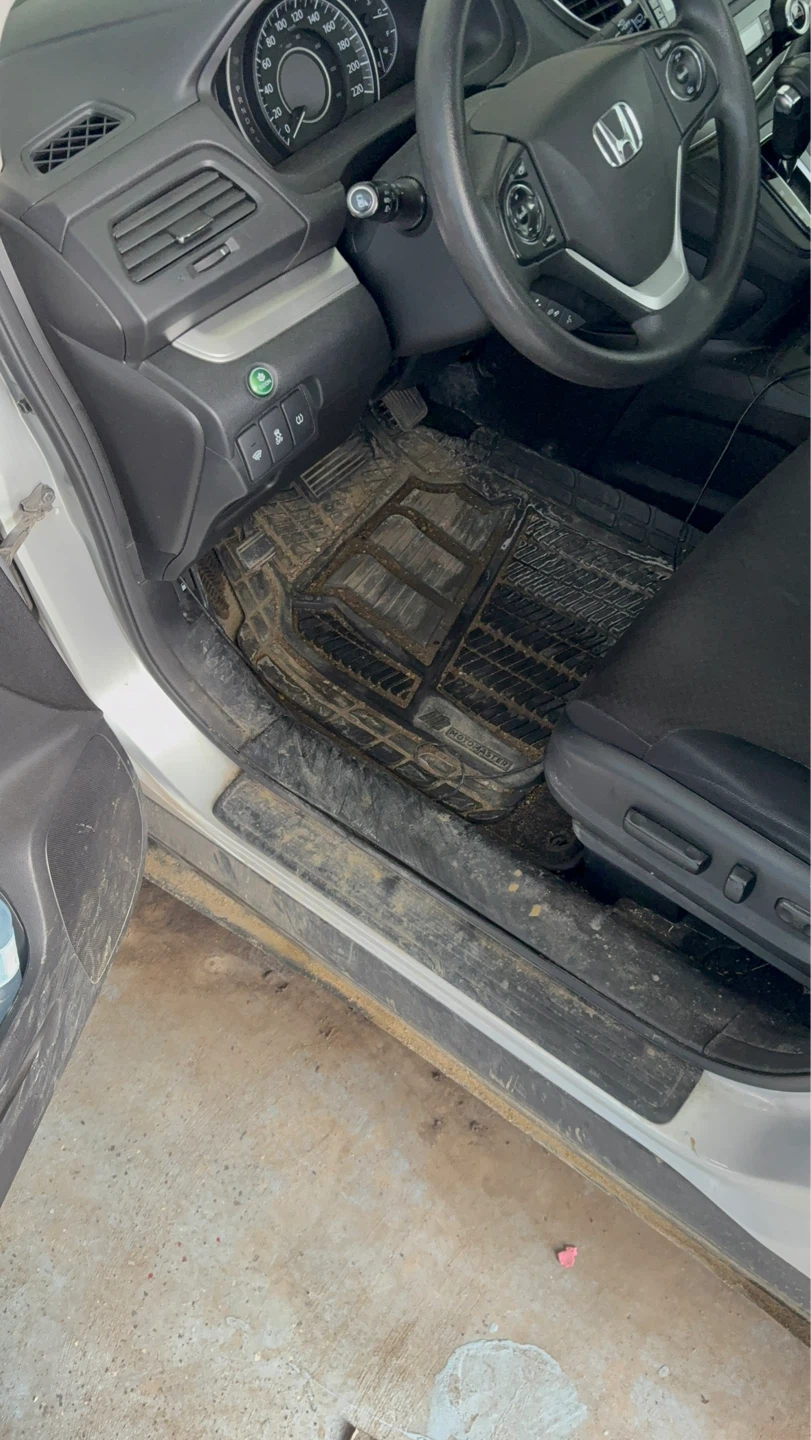 Car Detailing