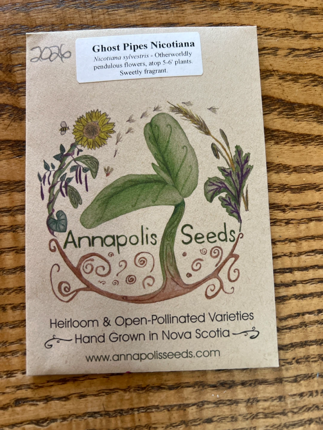 Ghost Pipes Nicotiana Seeds