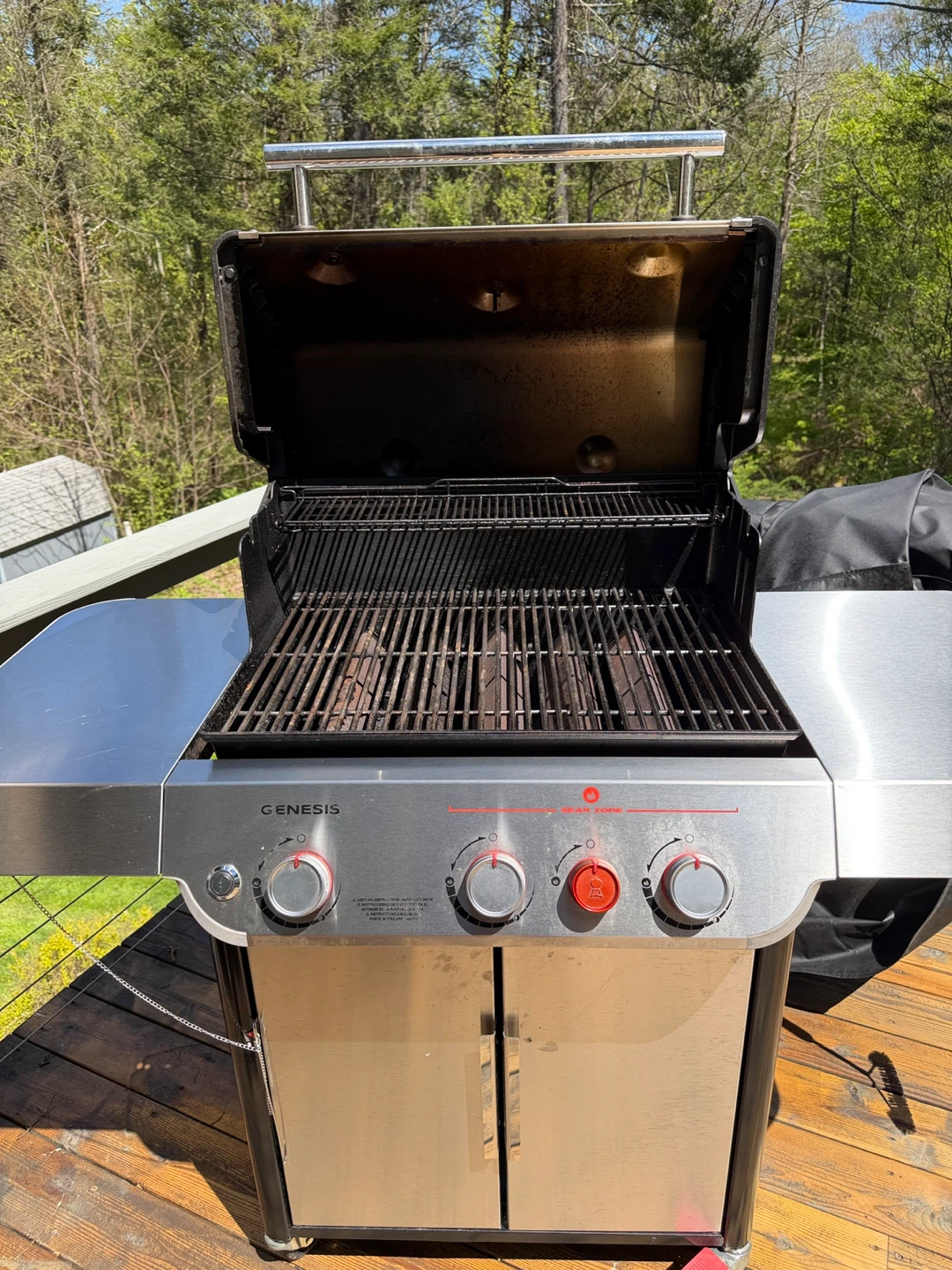 Weber Genesis Gas Grill