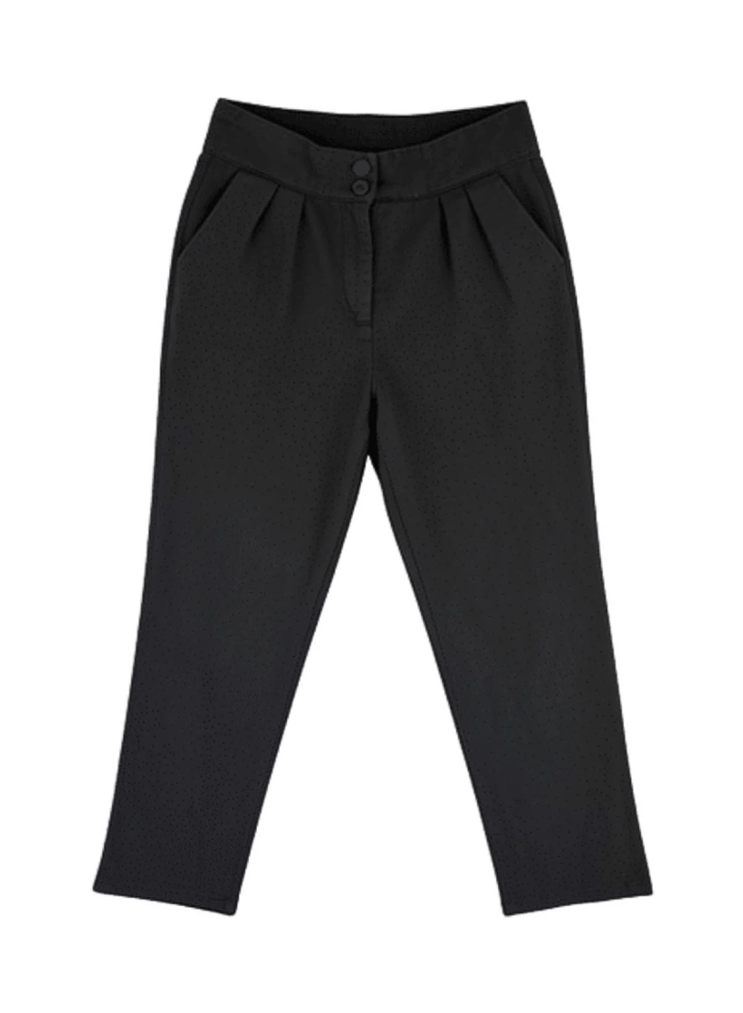 Black High-Waisted Pleated Pants