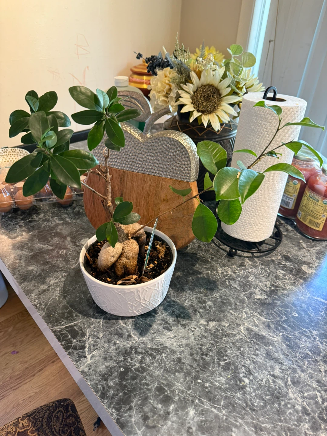Just Add Ice Bonsai Tree