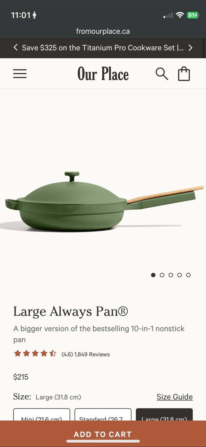 NIB LARGE Our Place Always Pan - Sage