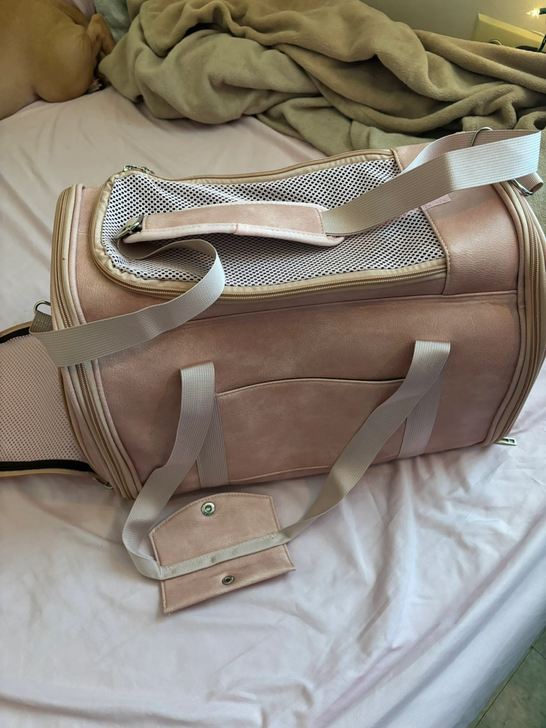 Small pet carrier bag