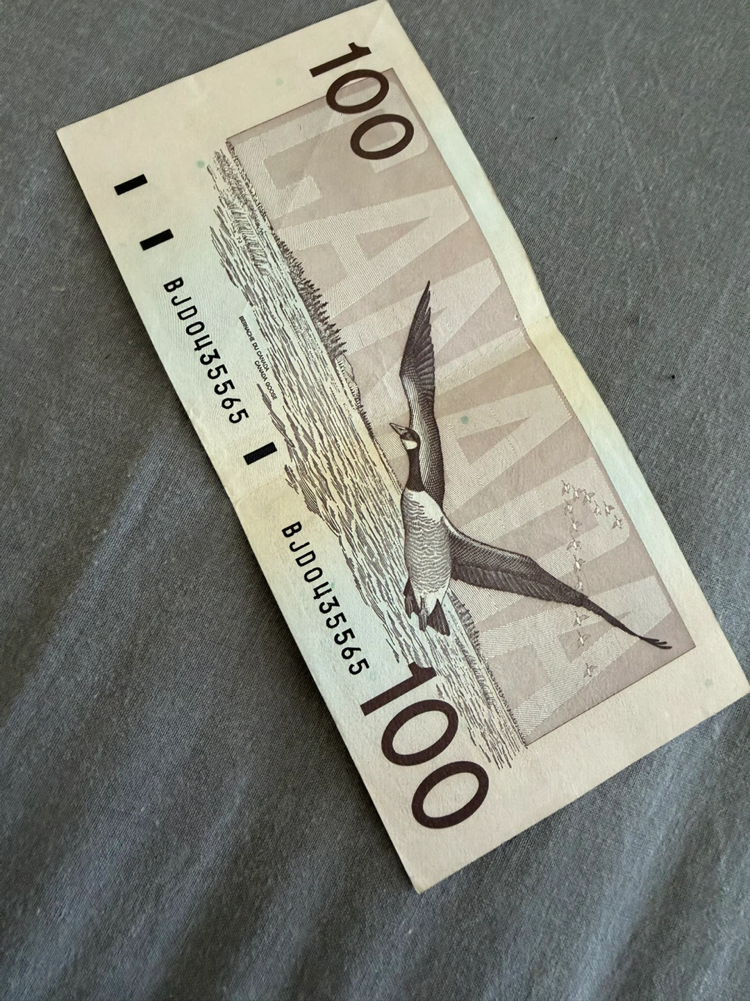 $100 Canadian Bank Note - photo 2
