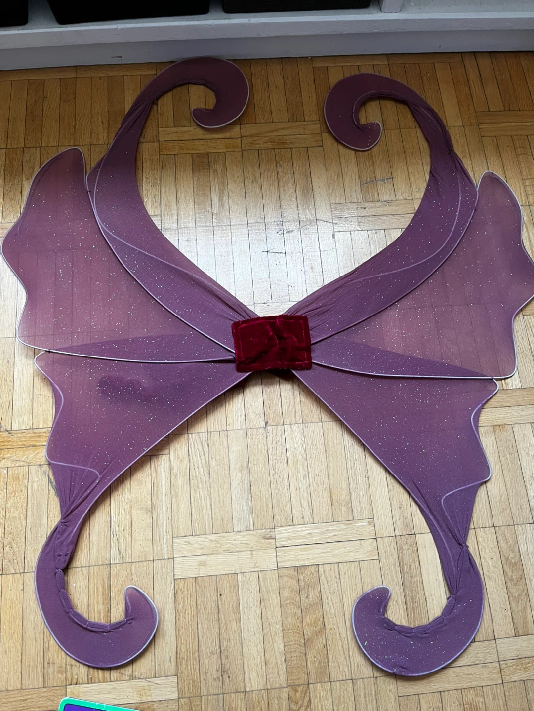 Fantasy Wings Costume Wings