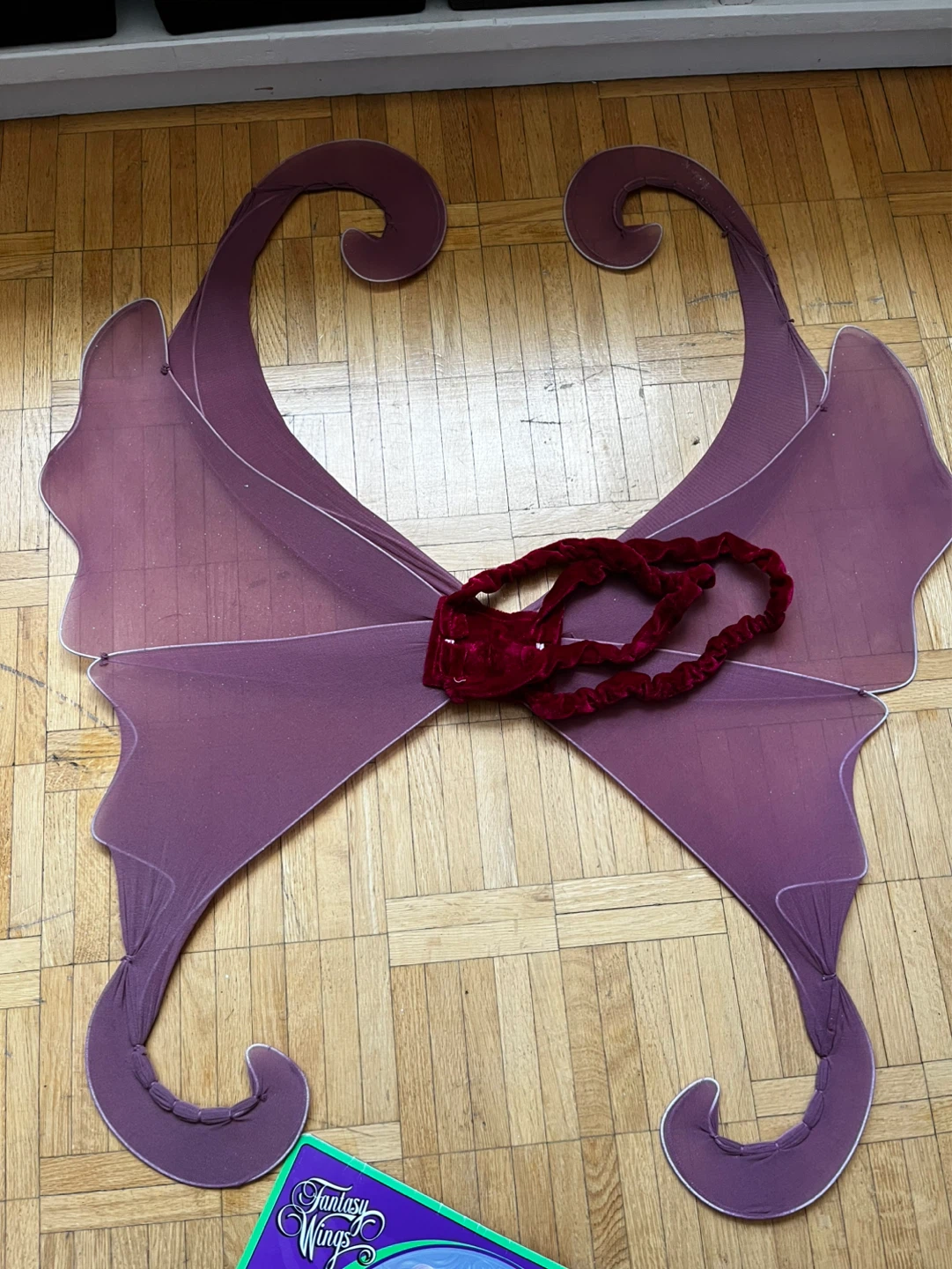 Fantasy Wings Costume Wings - photo 2