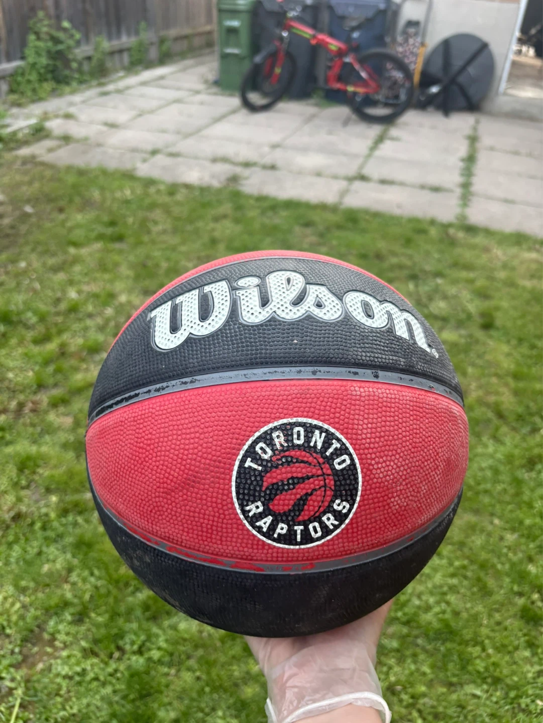 Wilson NBA Toronto Raptors Basketball - photo 3