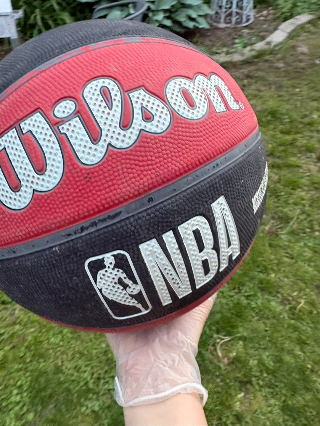 Wilson NBA Toronto Raptors Basketball