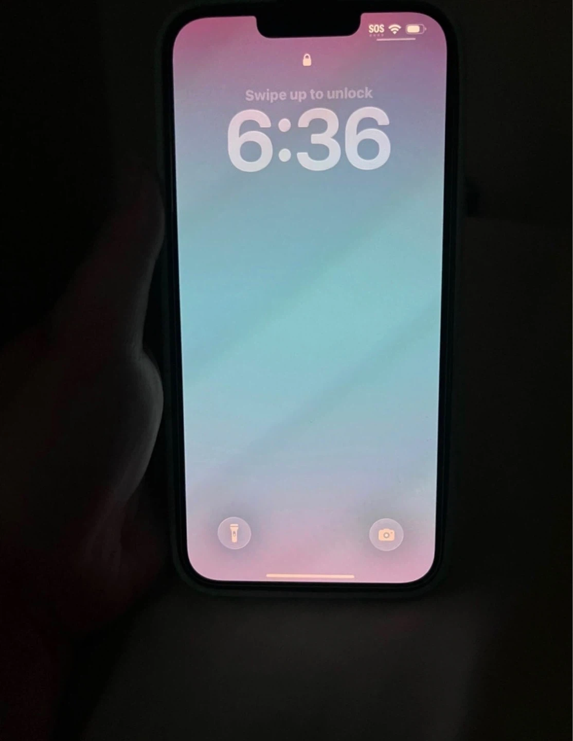 iPhone 13 Pro Max