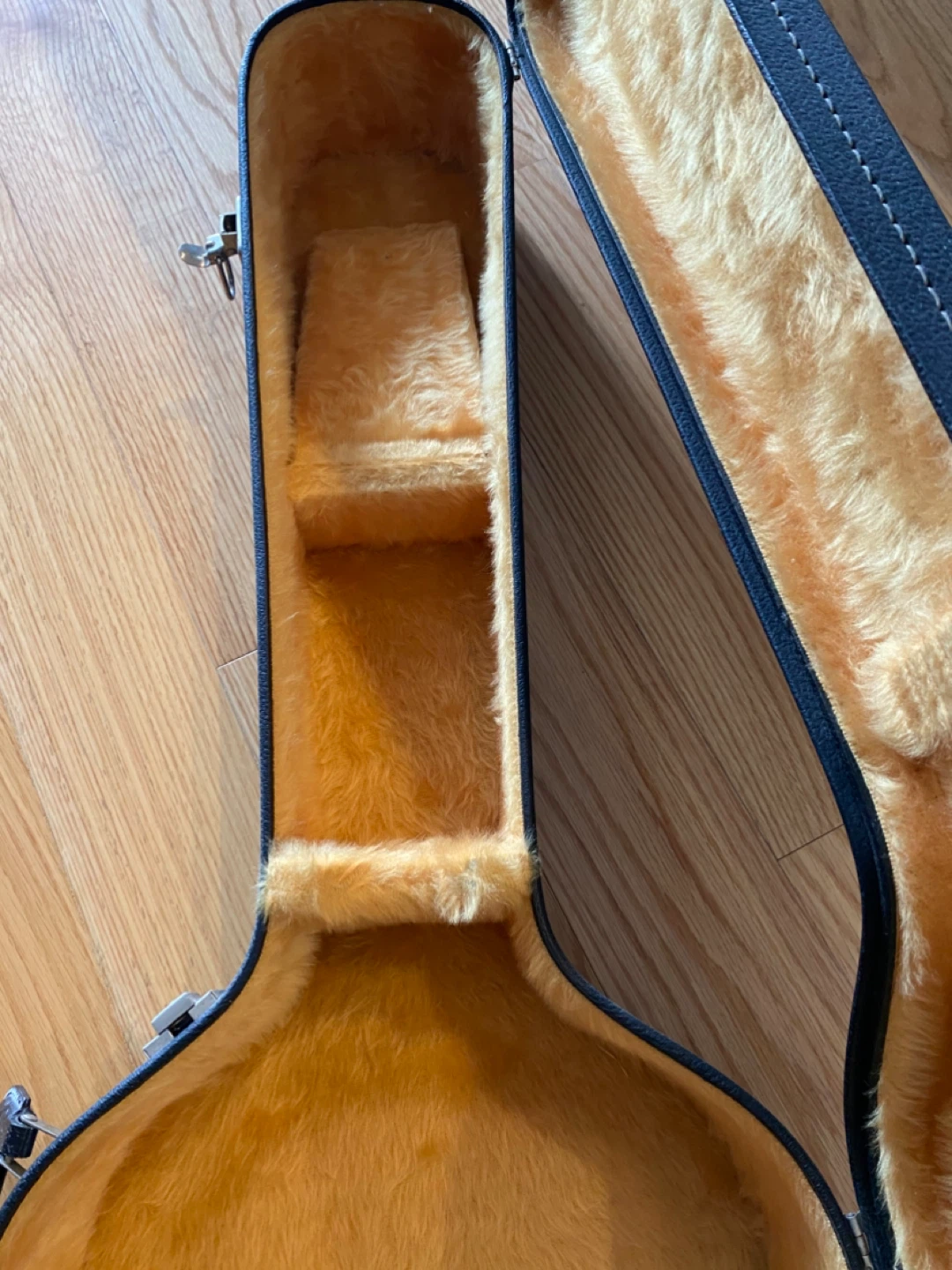 Guitar Case - photo 4