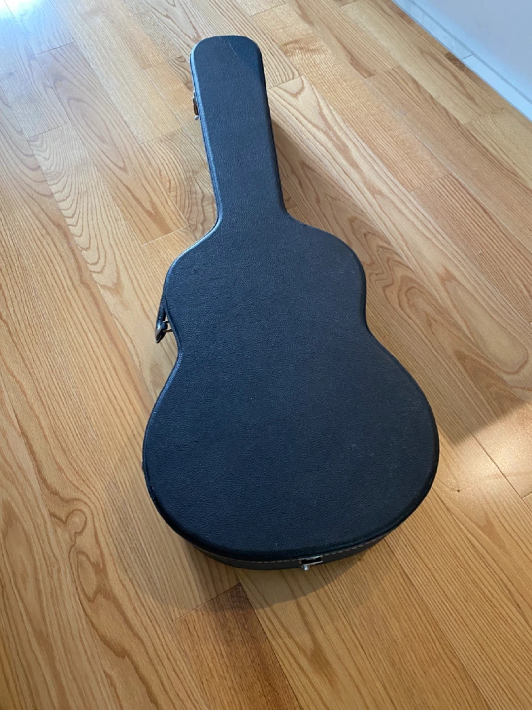 Guitar Case