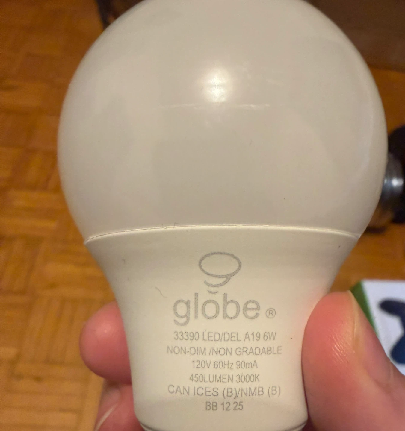 Globe LED A19 Light Bulb 6W