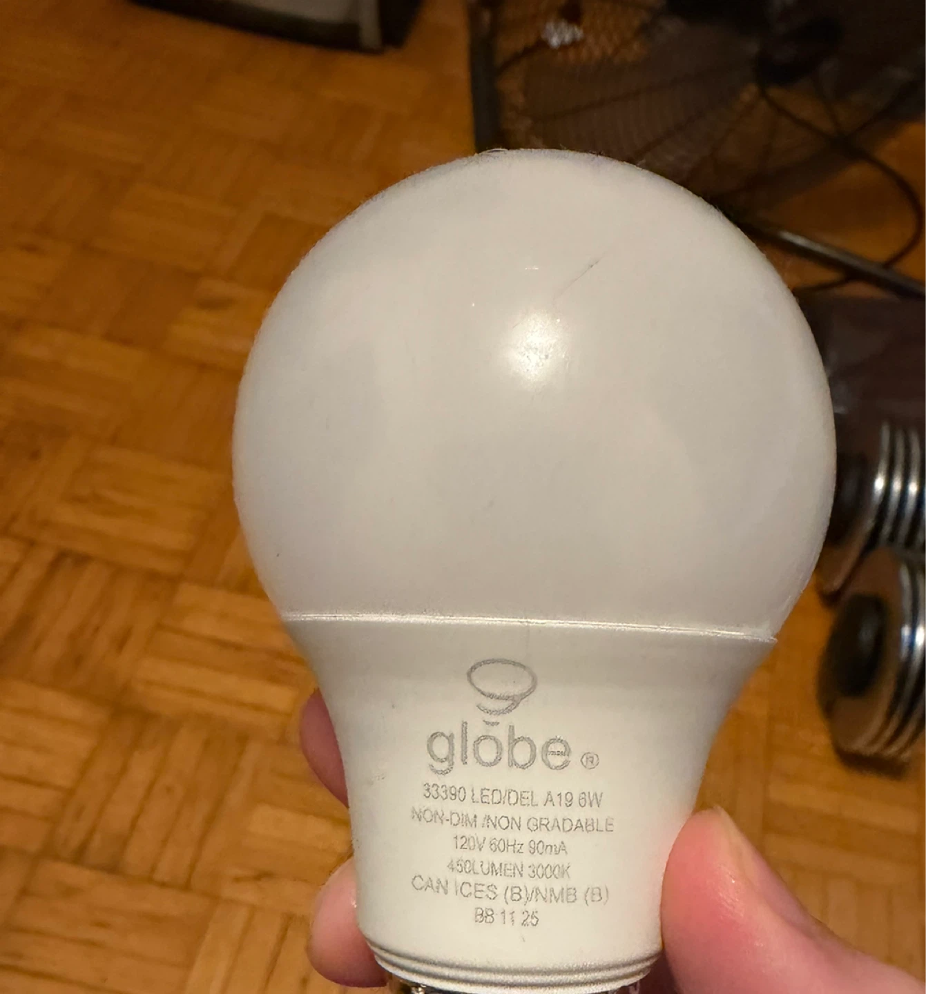 Globe LED A19 6W Light Bulb