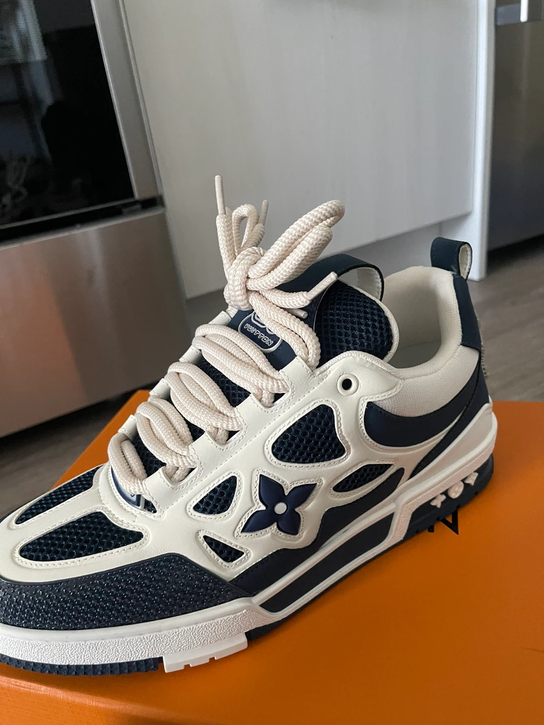 Louis Vuitton Skate Sneakers