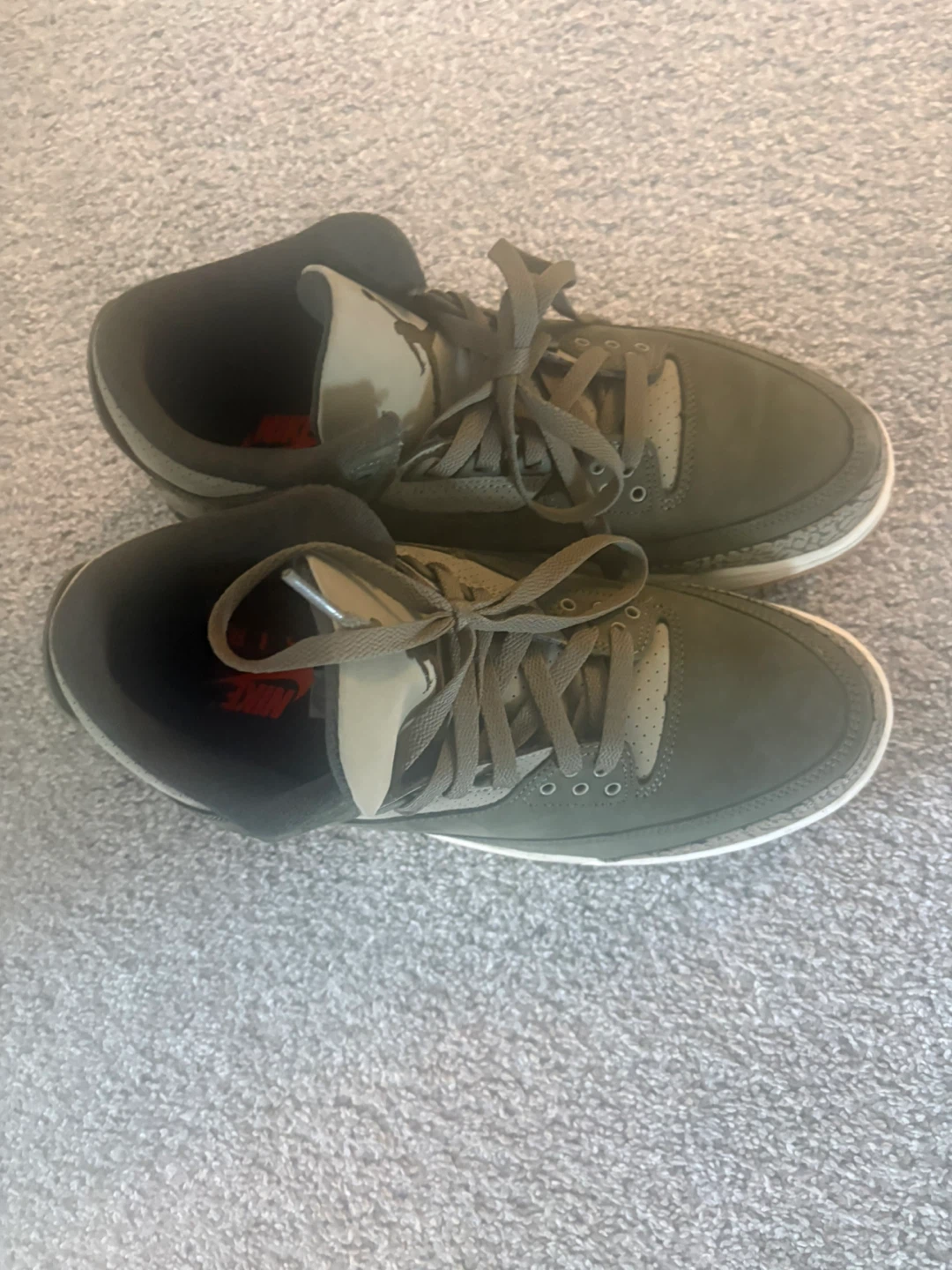 Air Jordan 3 Olive Sneakers