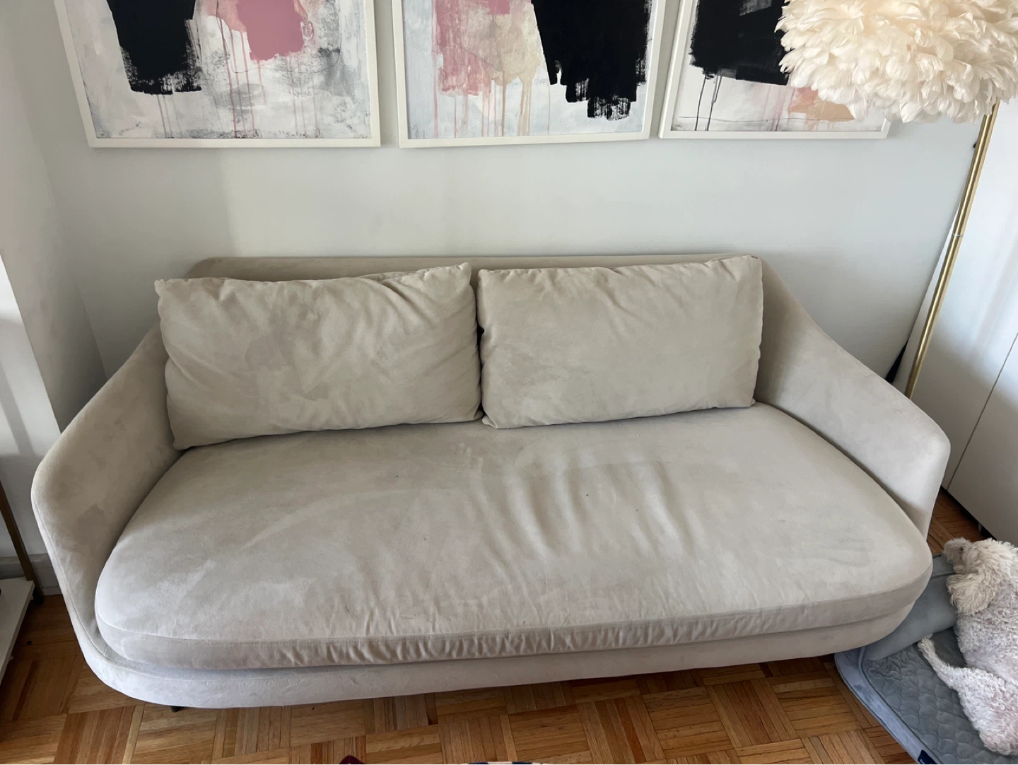 Light grey Sofa with Two Cushions