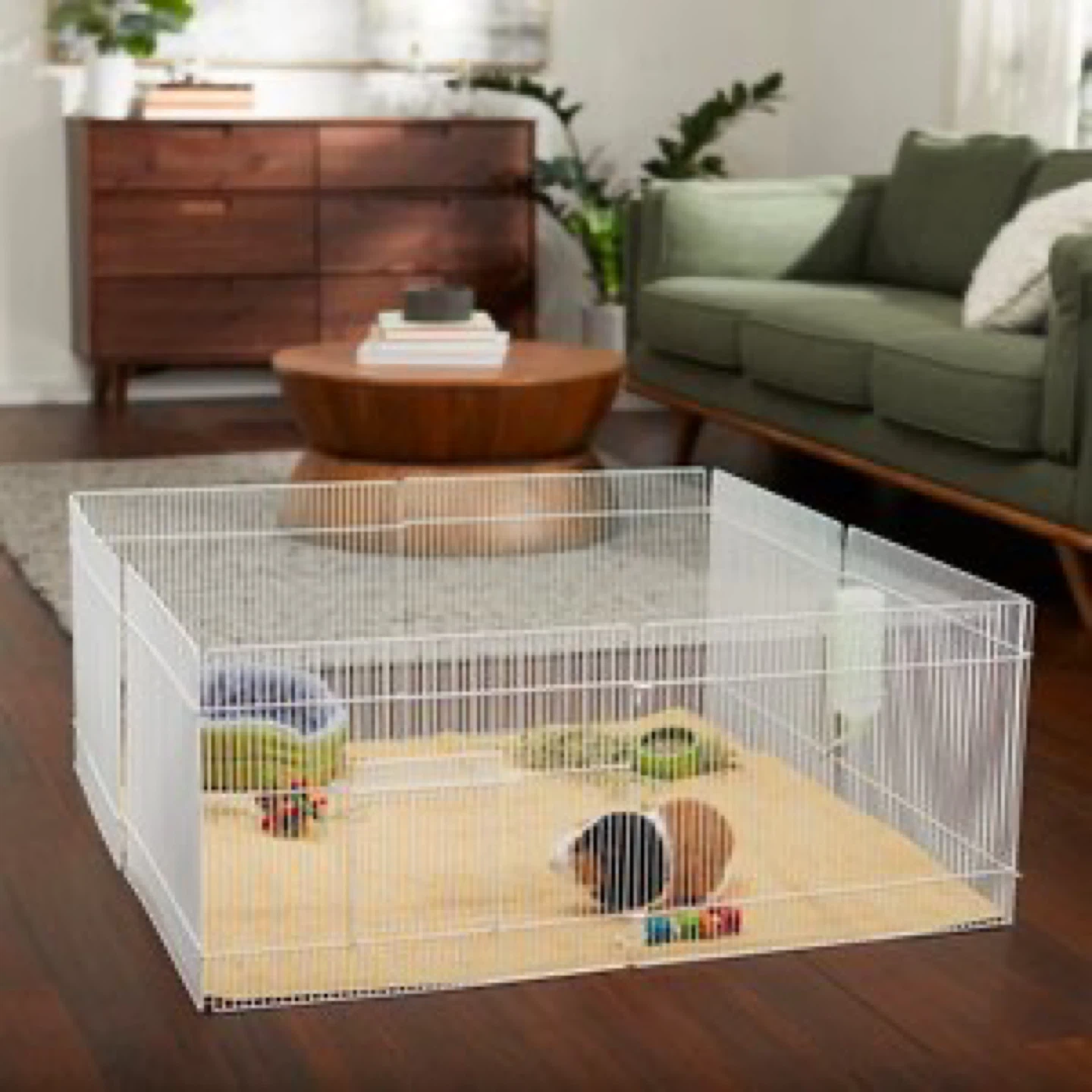 XL Portable Exercise Pen for Small Animals