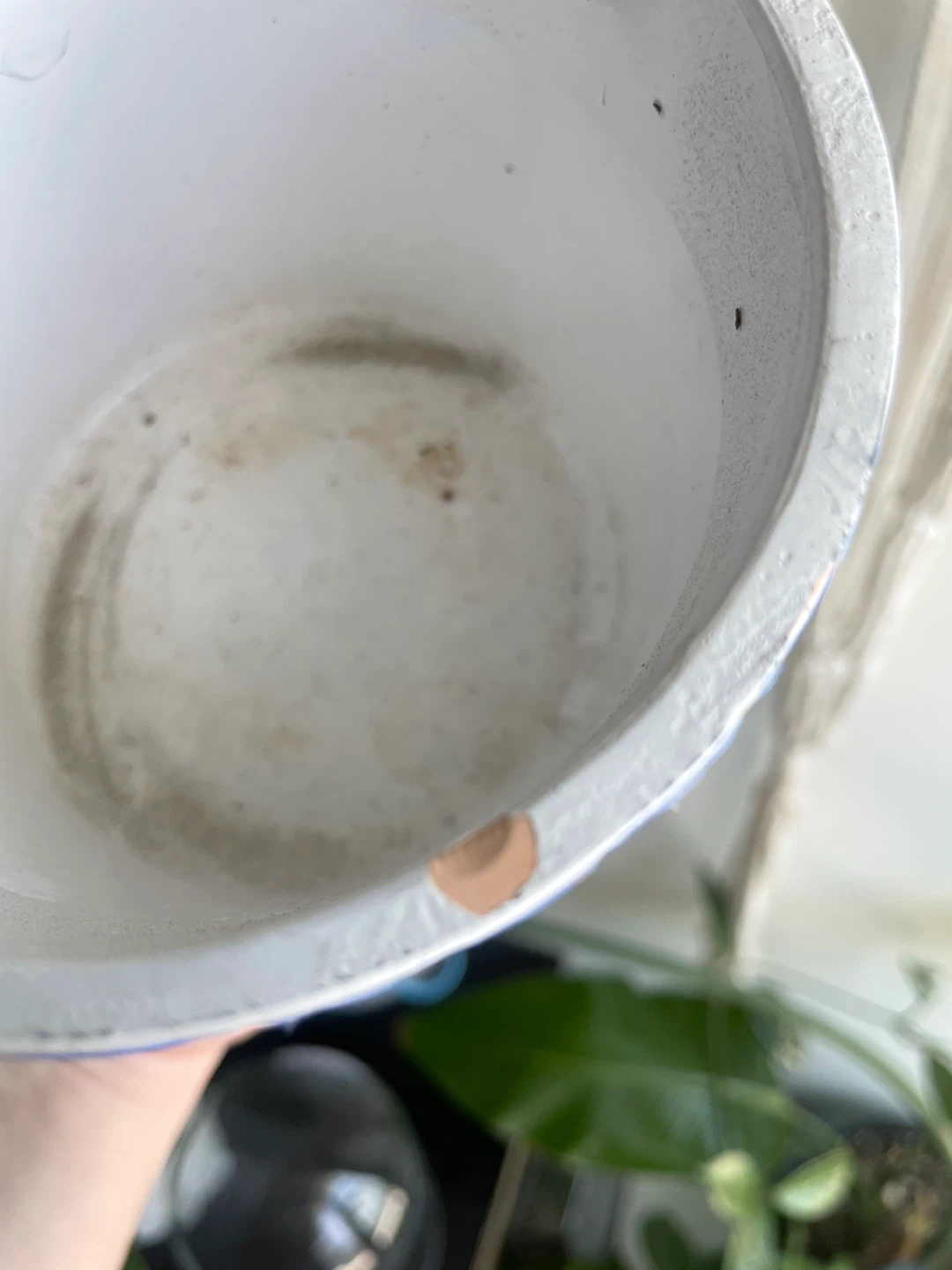 Blue and White Decorative Pot Planter - photo 3
