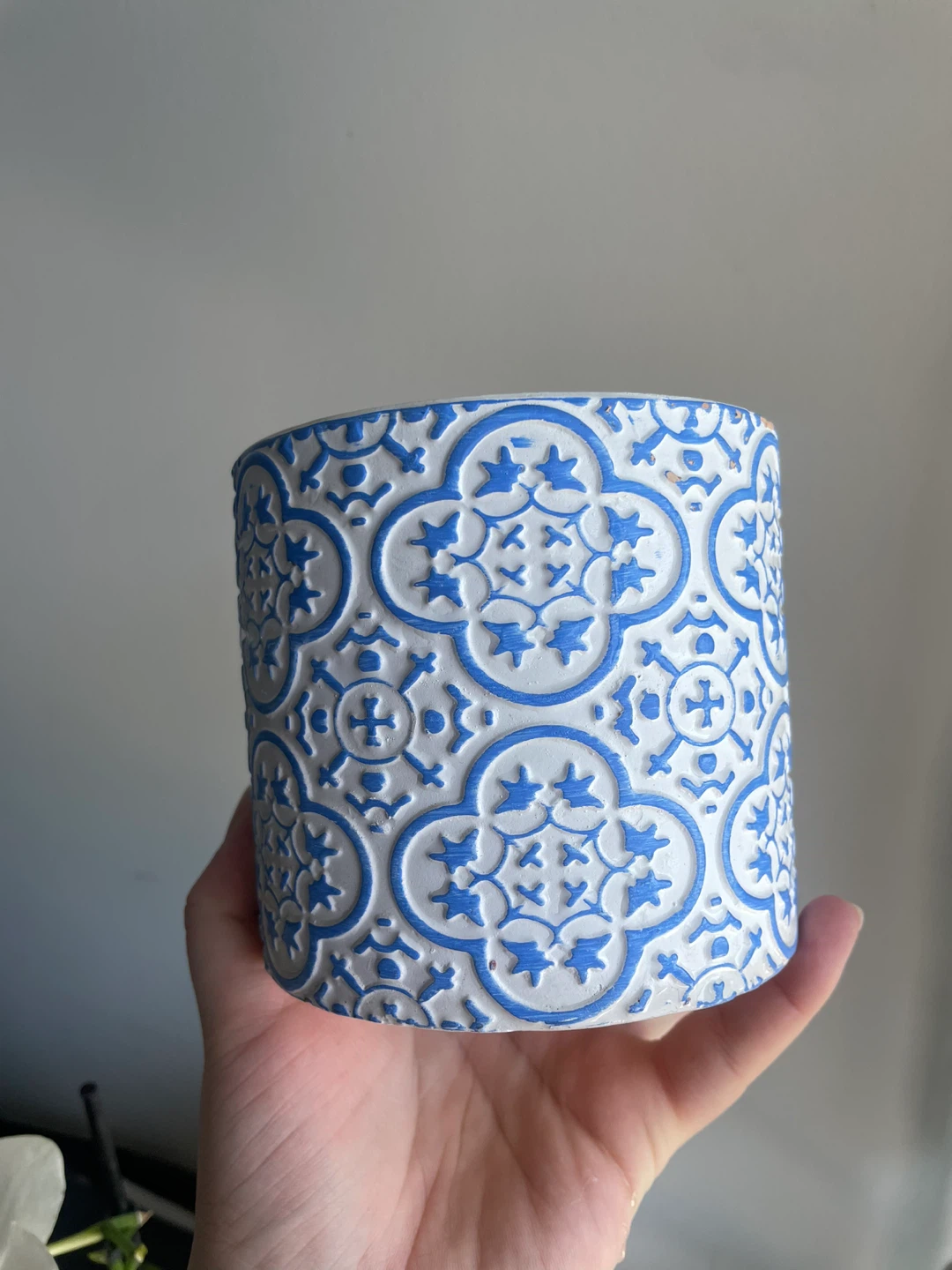 Blue and White Decorative Pot Planter