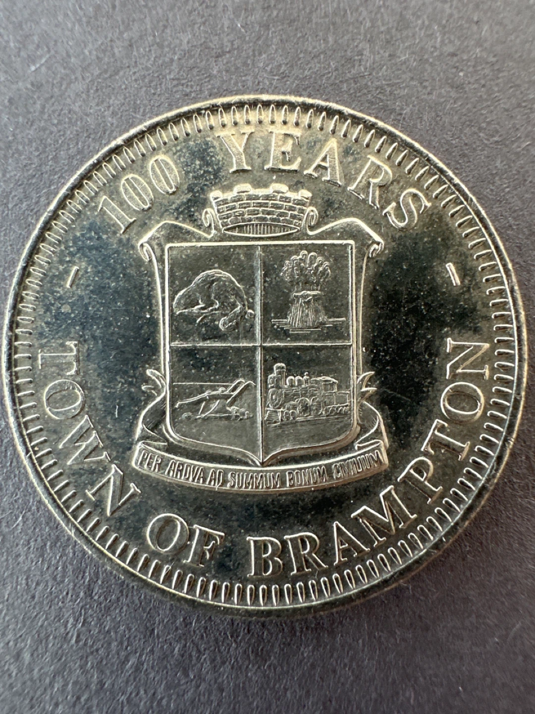 Centennial Dollar Coin - Town of Brampton 1973 - photo 2