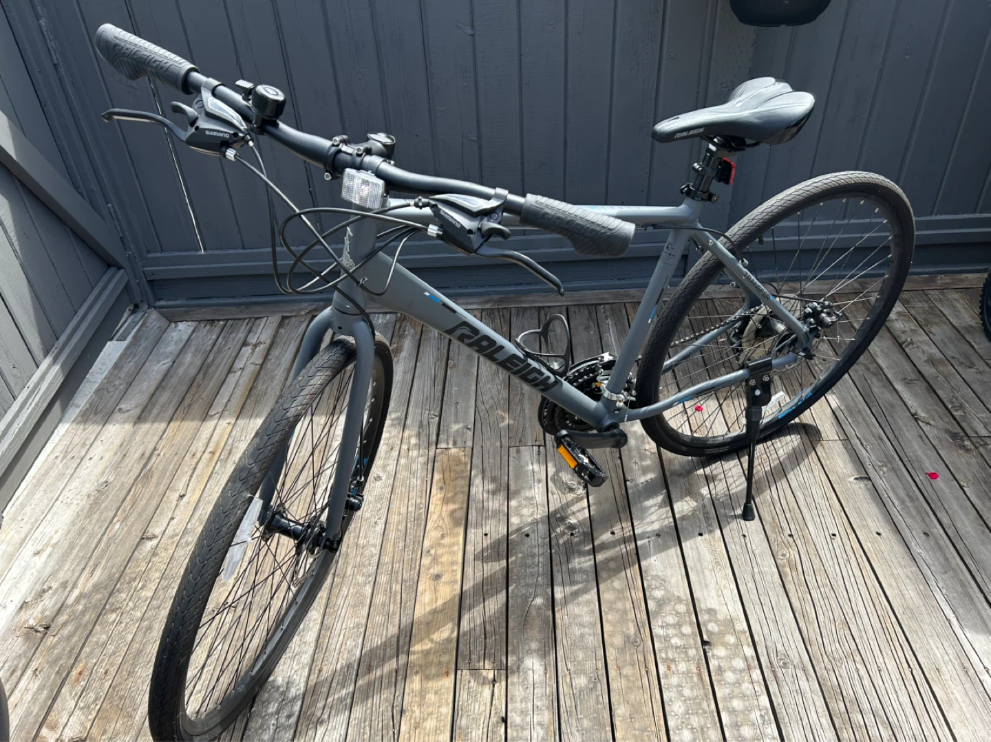 Raleigh 19” Street Bike