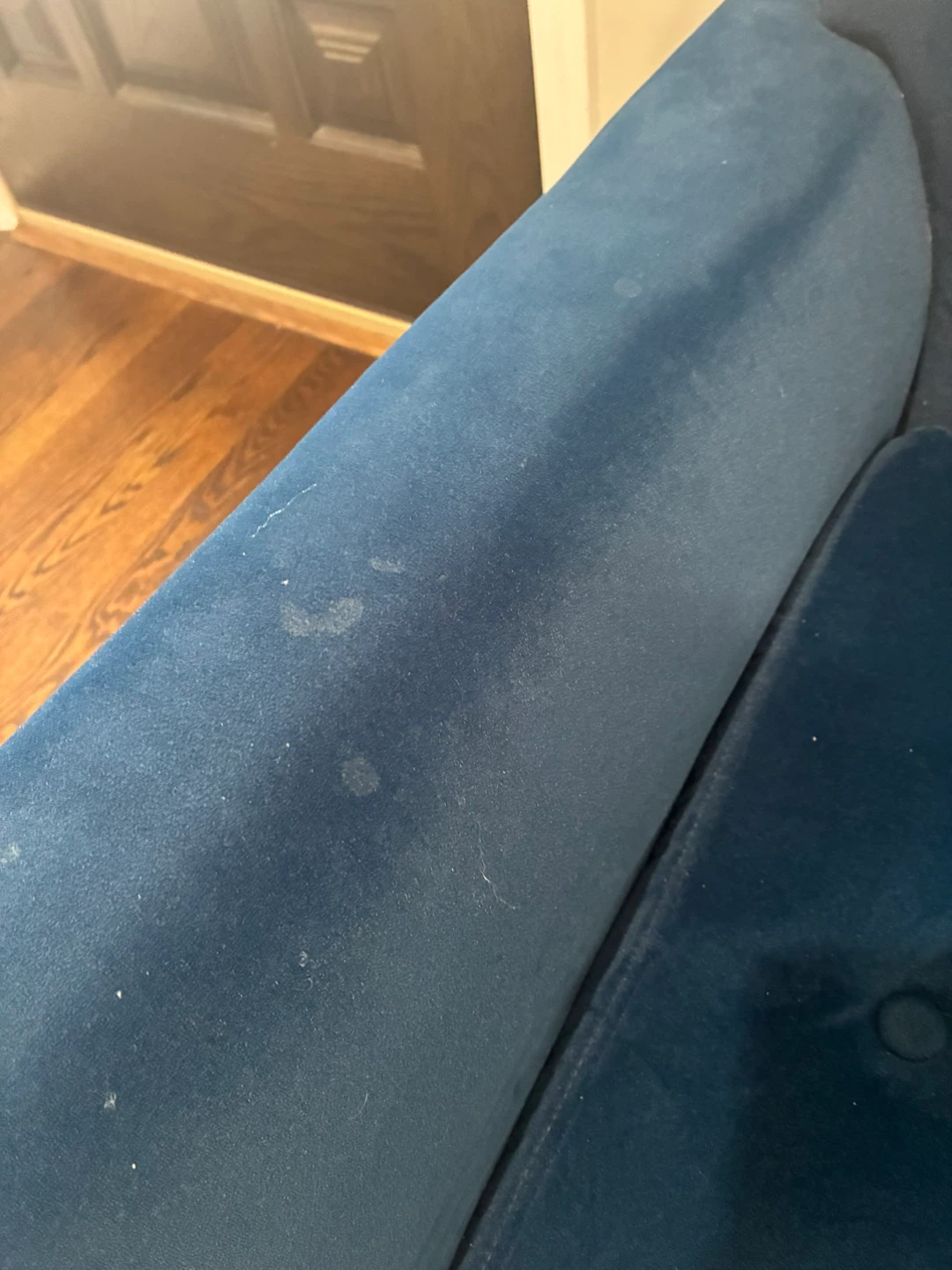 Blue Velvet Armchair with Gold Legs - photo 3