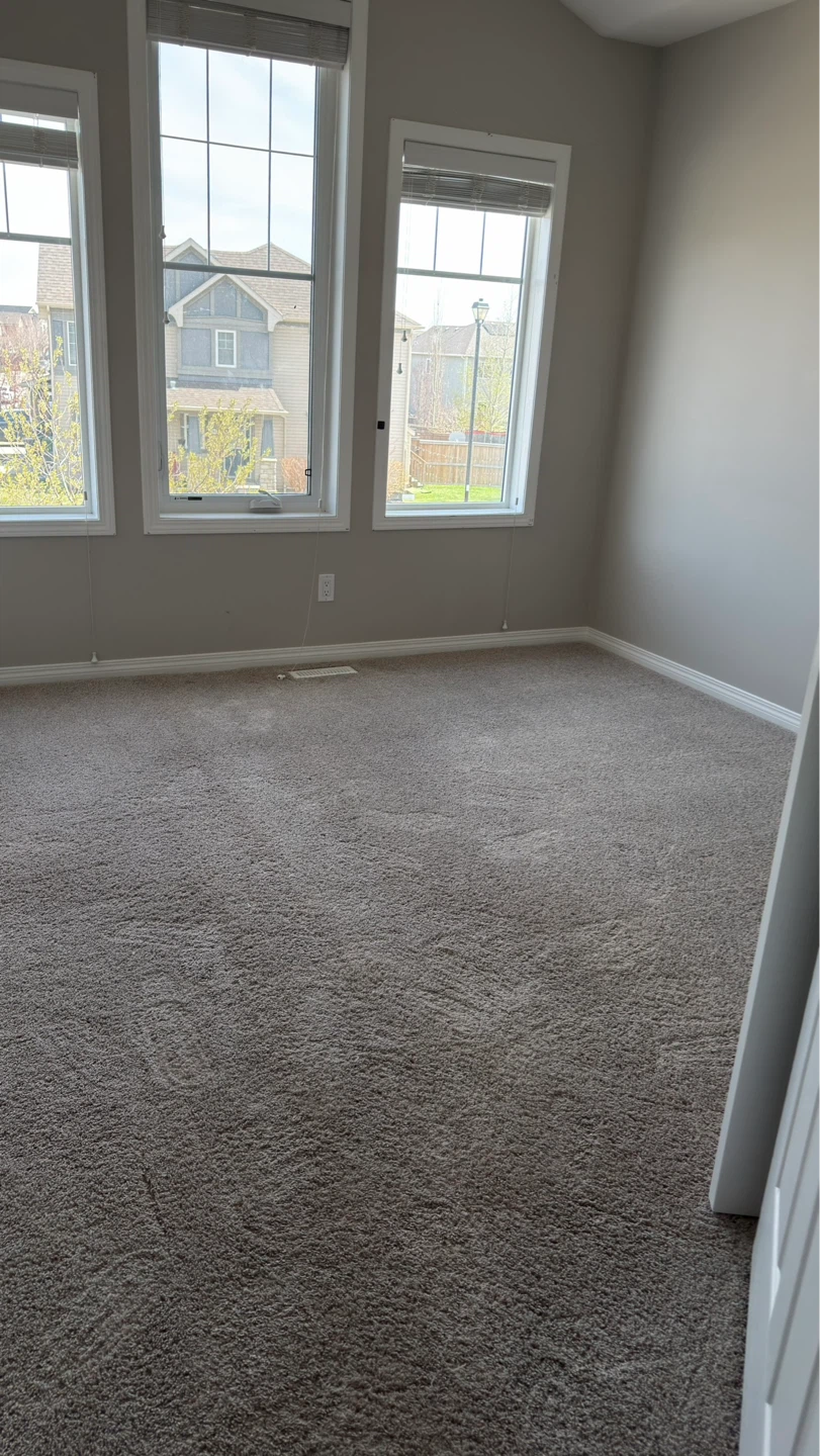 Refresh your sofa and carpet - photo 5