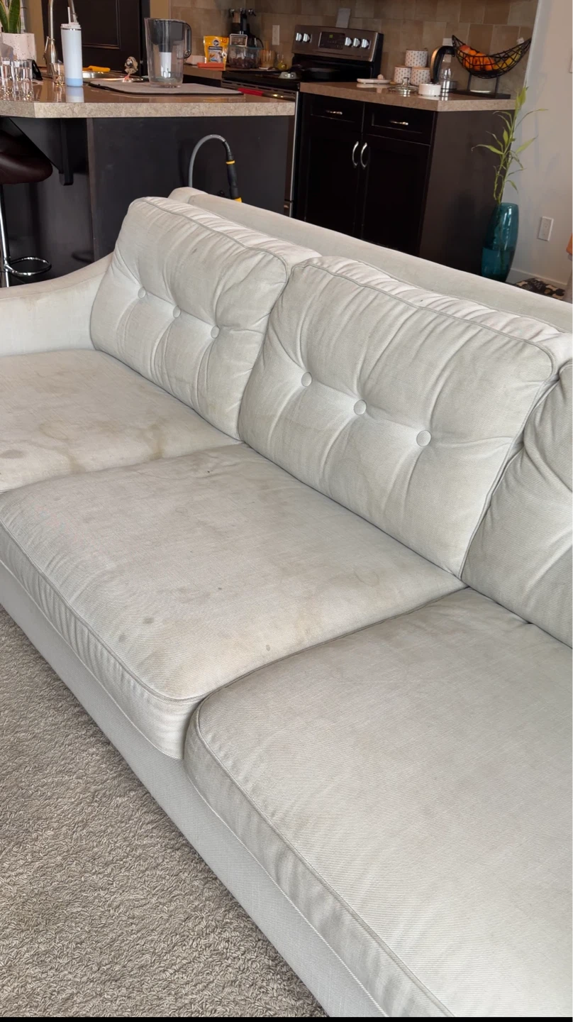 Refresh your sofa and carpet