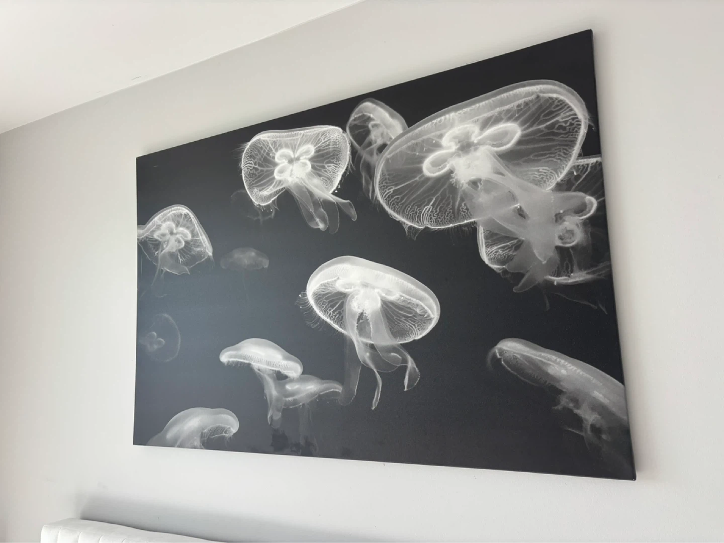 Jellyfish Canvas Wall Art - photo 2