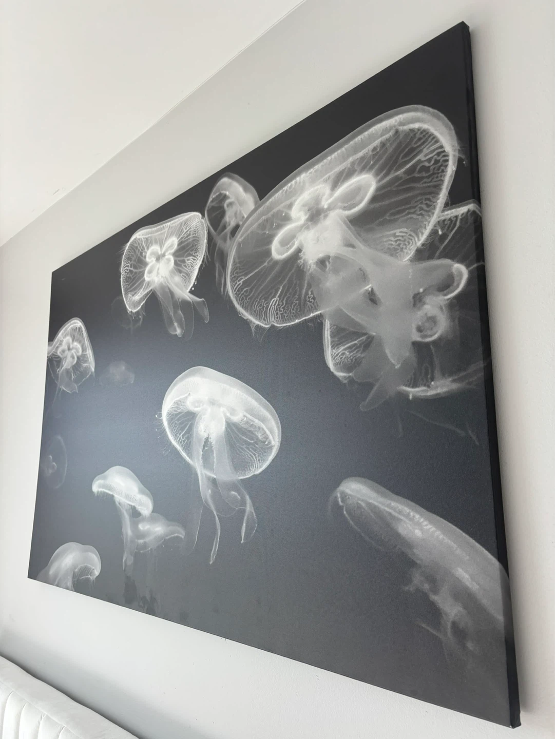 Jellyfish Canvas Wall Art - photo 3