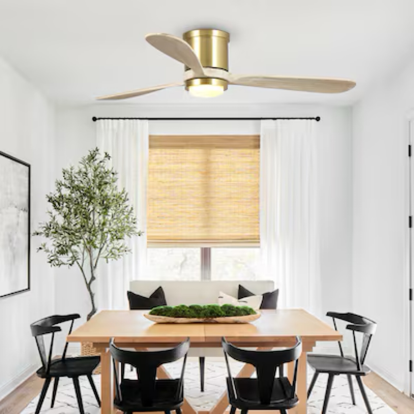 Smart Ceiling Fan with Light