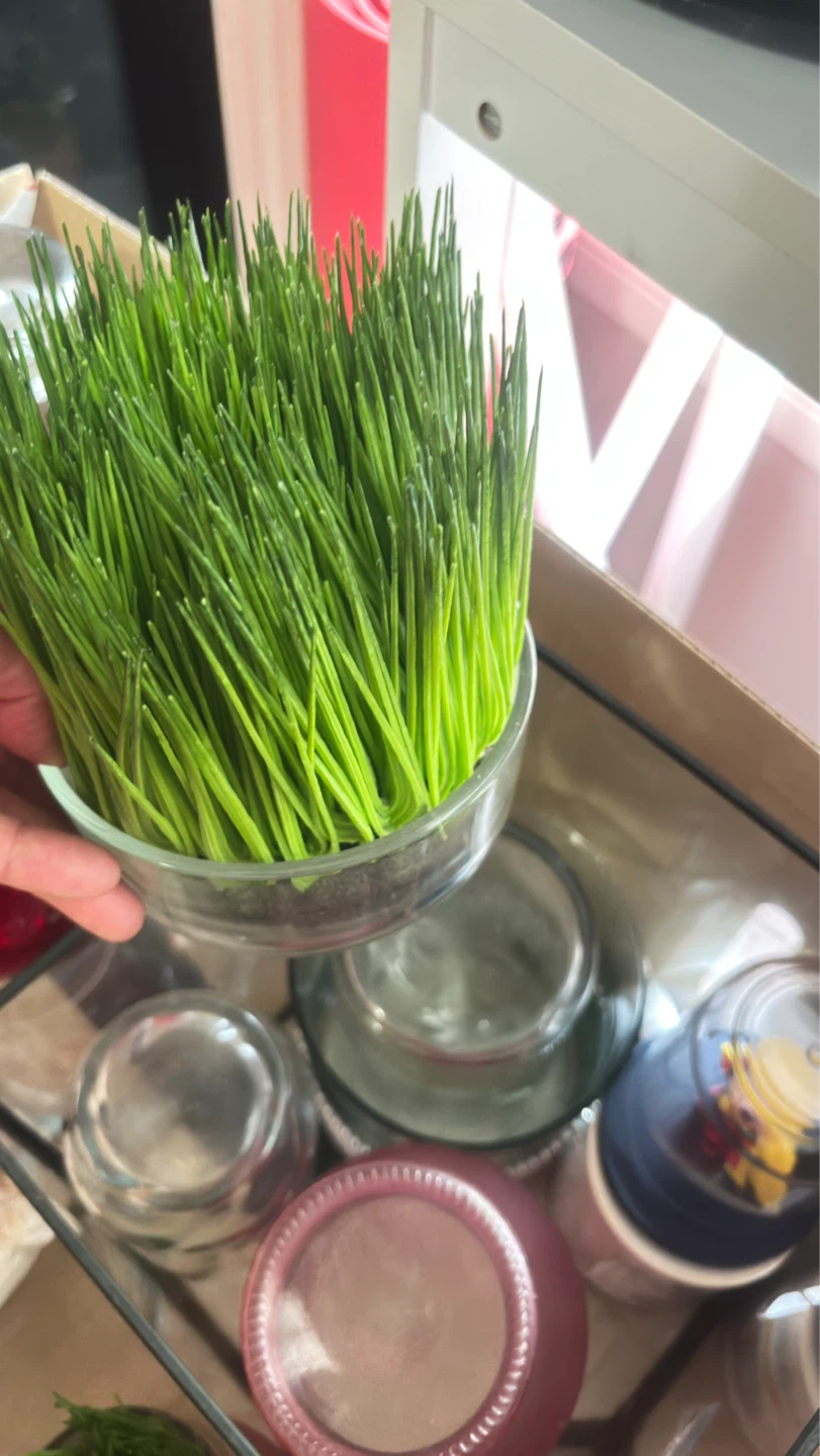 Take all for free Box of assorted home decor items - photo 3