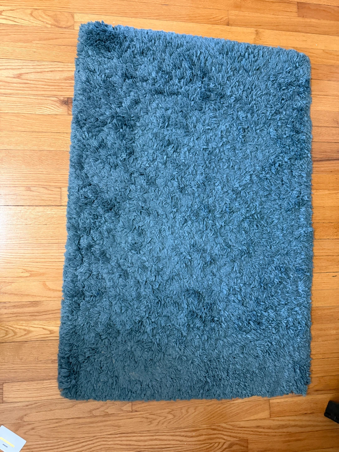 Blue Shag Area Rug - photo 2