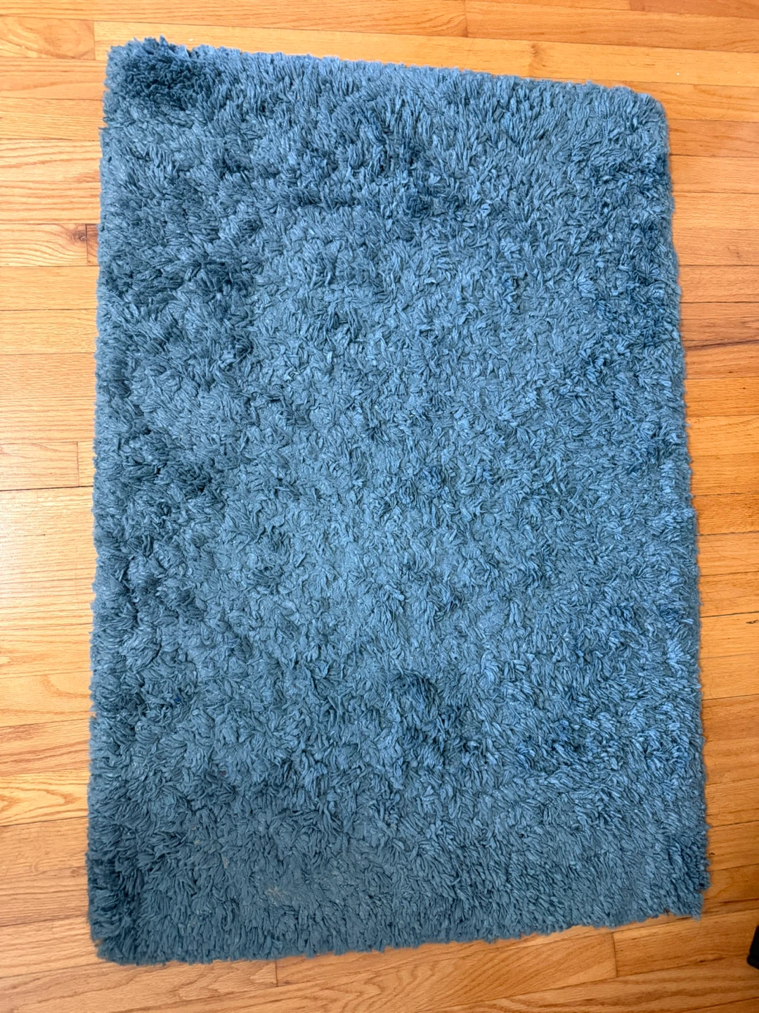 Blue Shag Area Rug