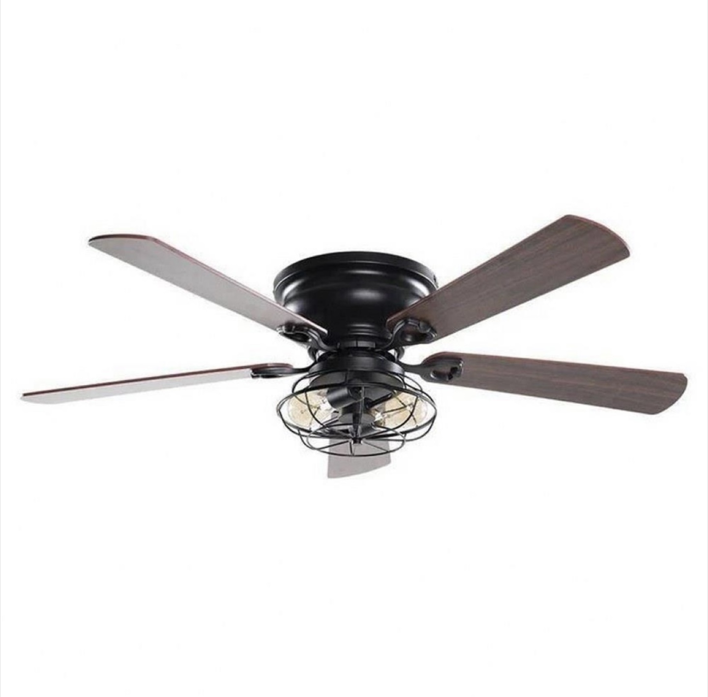Ceiling Fan with Lights