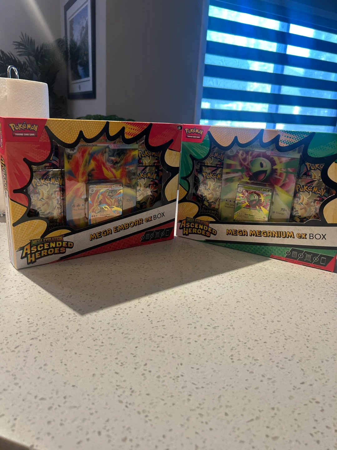 Pokemon Trading Card Game Mega Emboar & Mega Meganium EX Boxes