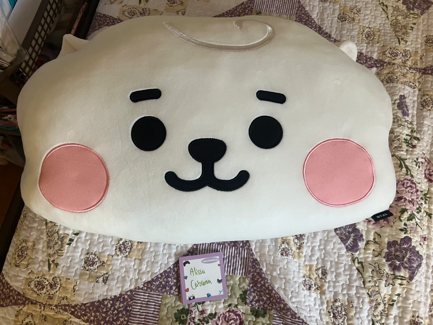 BT21 Huge RJ Pillow