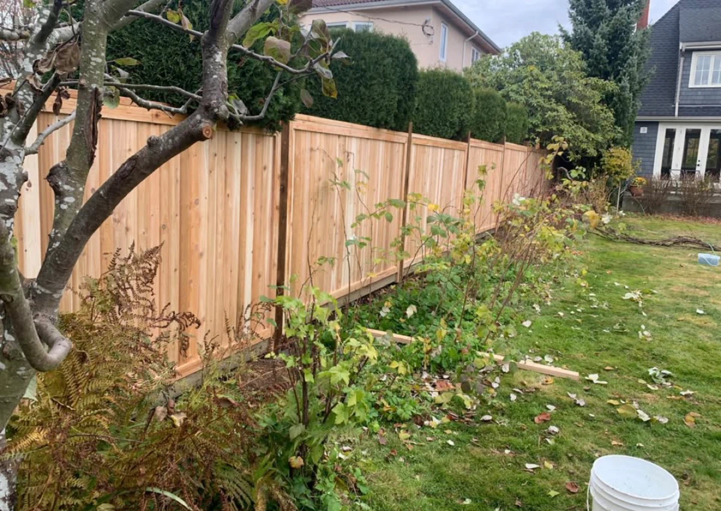 Wood Fence Panels