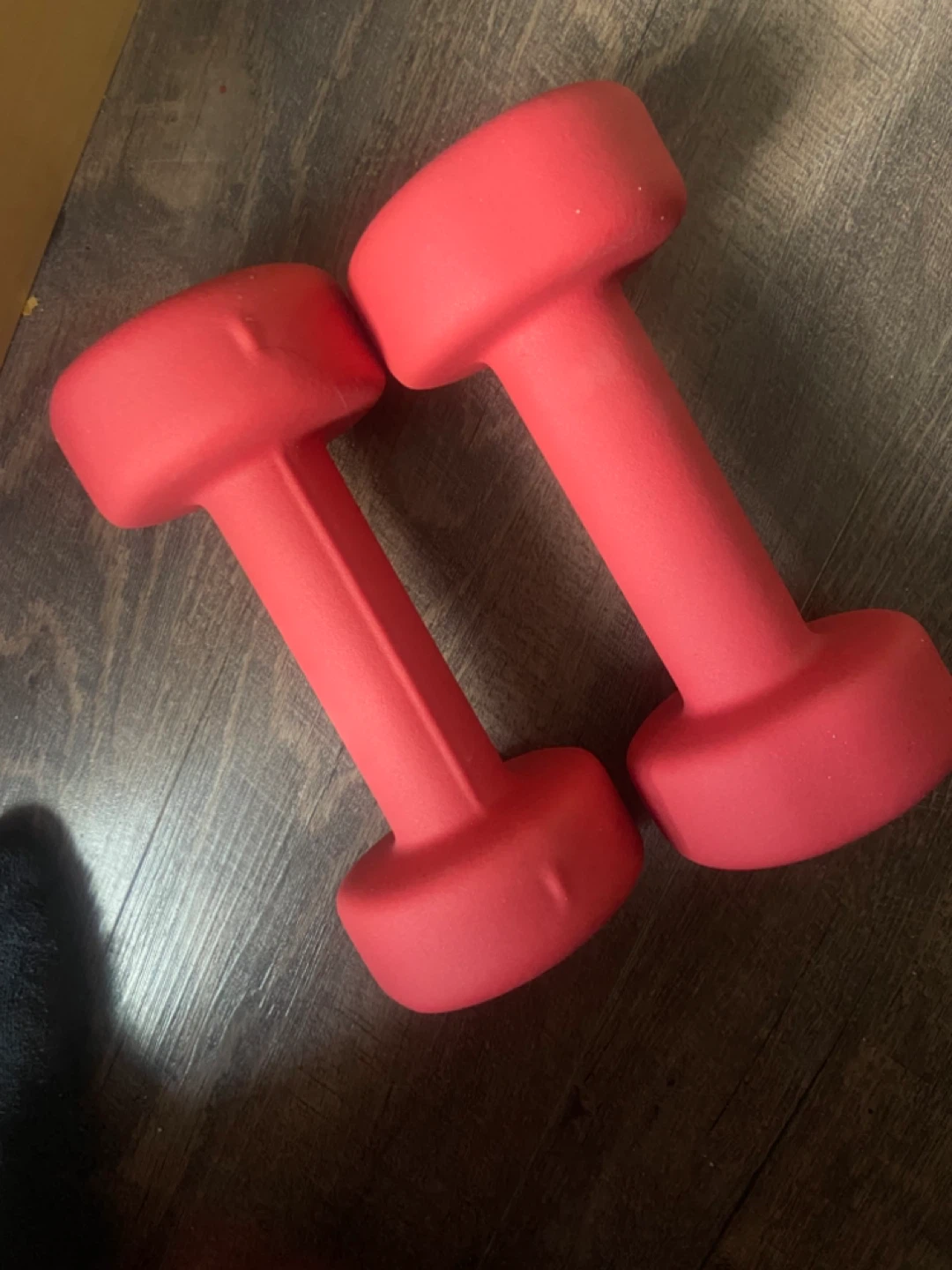 9 LB Dumbbells (Pair)