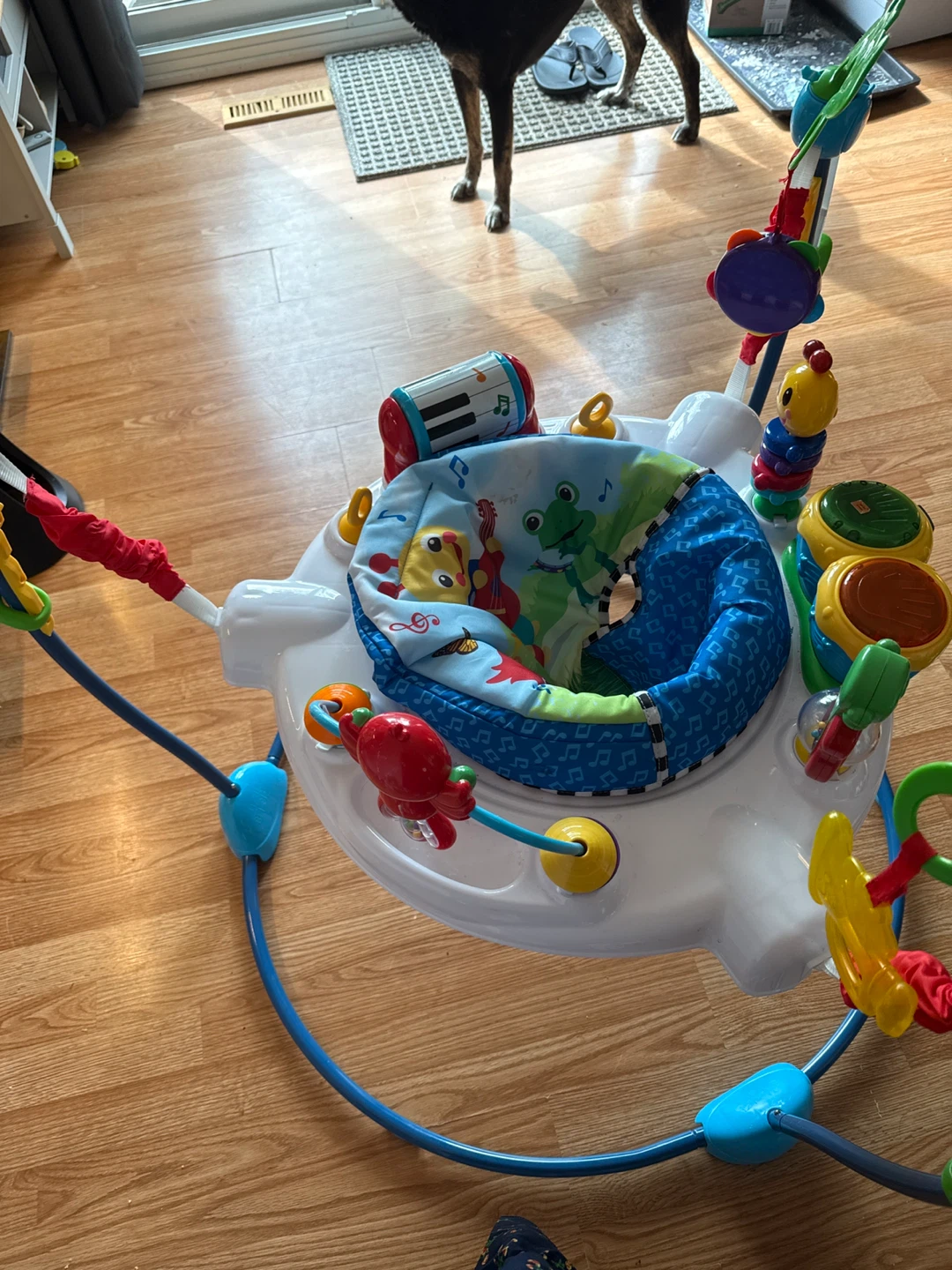Baby Einstein Musical Motion Activity Jumper - photo 3