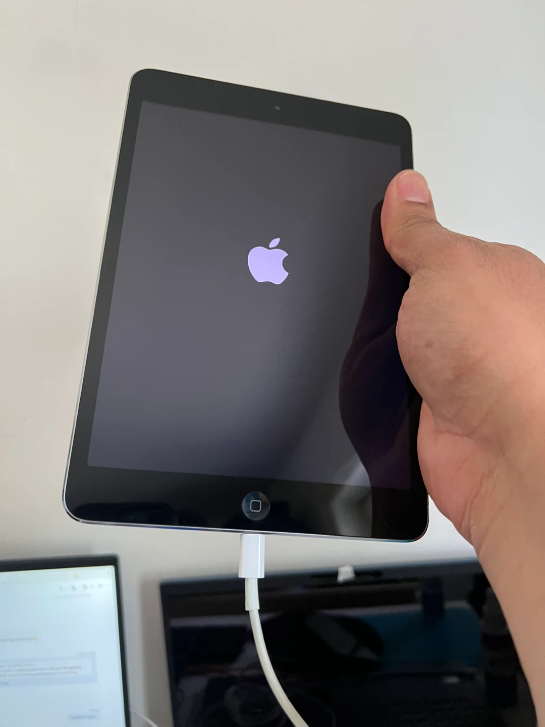 Apple iPad Mini 2