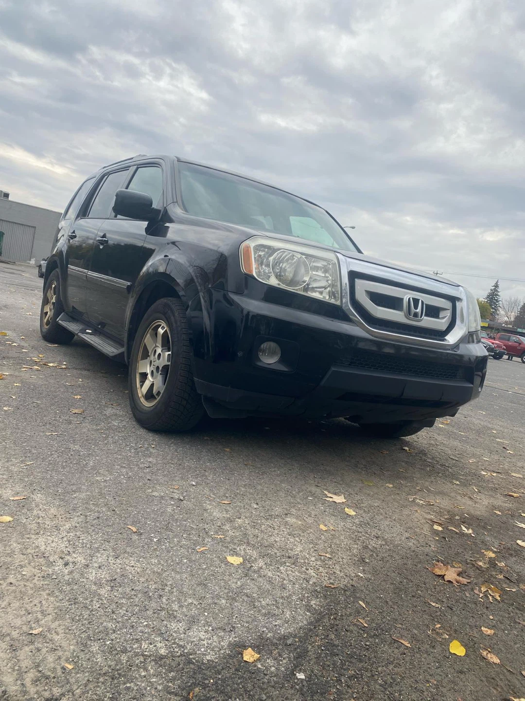 Honda Pilot Touring 210 - photo 3