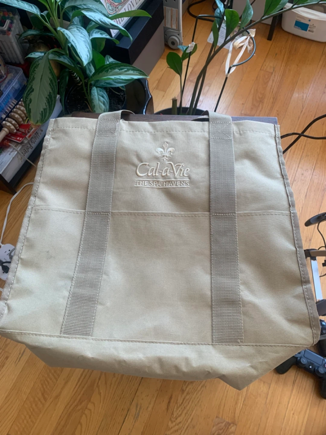 Tan Bag