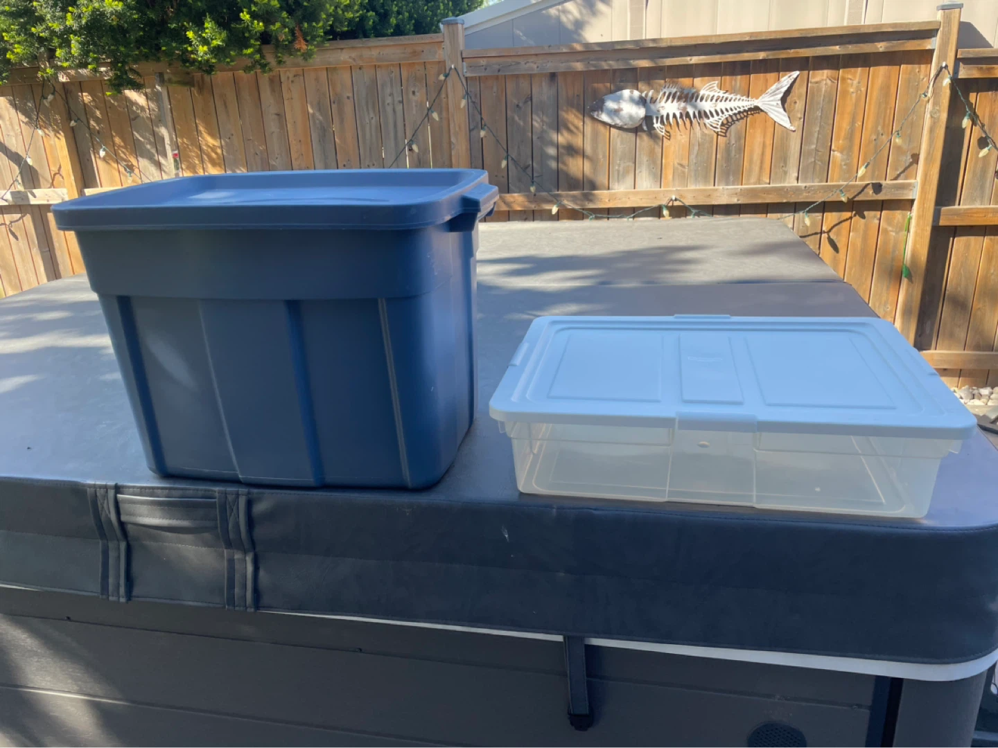 Blue and Clear Plastic Storage Bins with Lids