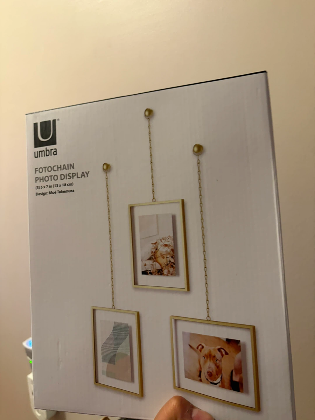 Umbra Fotochain Photo Display 5x7 in