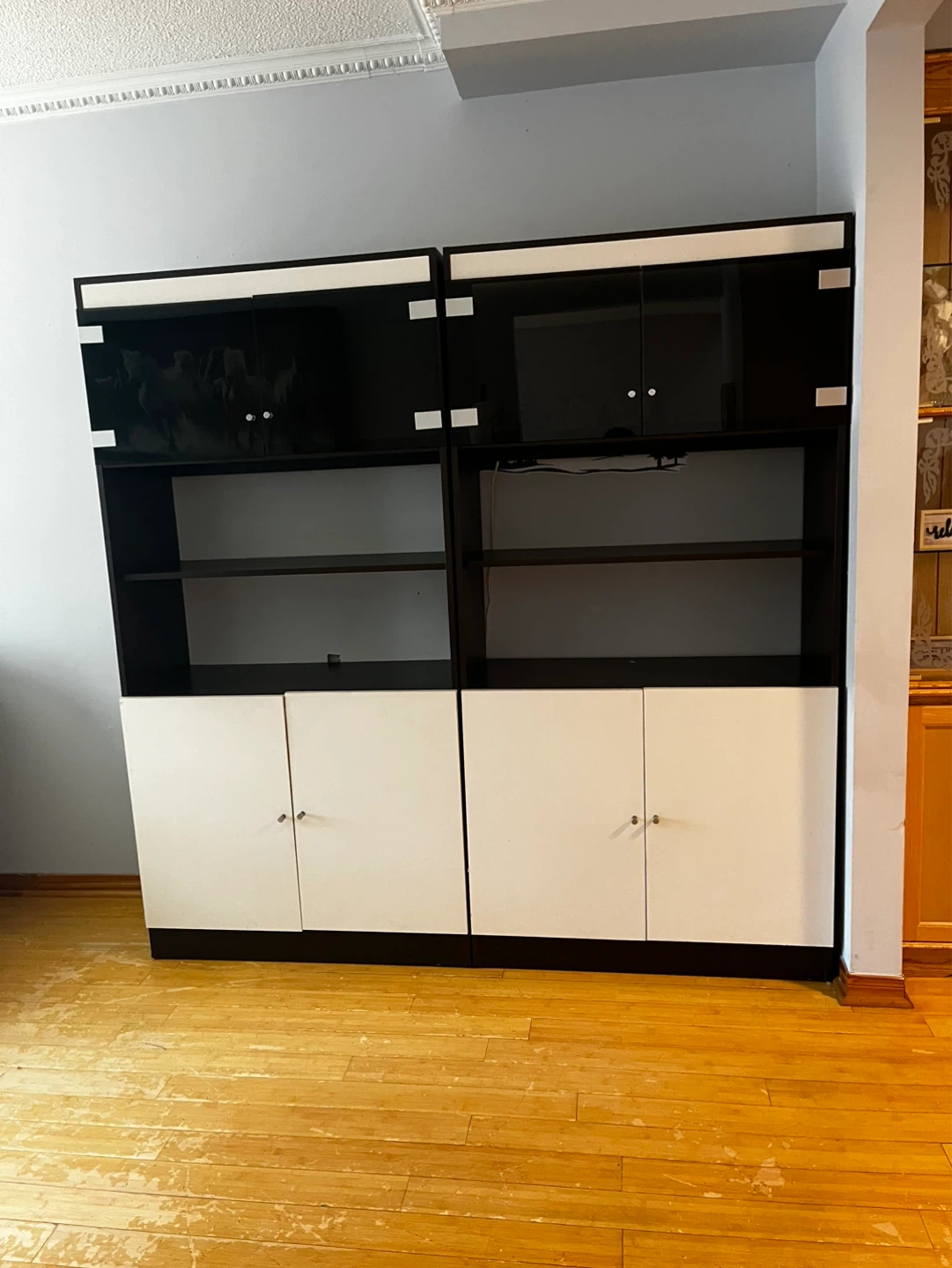 Black and White Storage Unit with Glass Doors