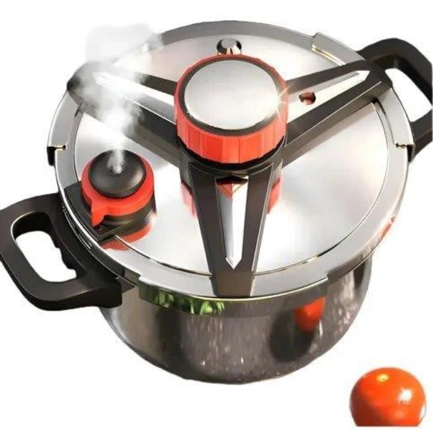 Zilode Stainless Steel Pressure Cooker