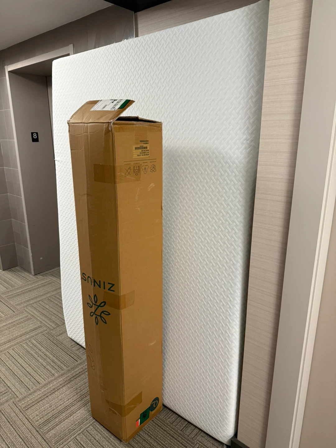 Zinus Mattress (12 inch)